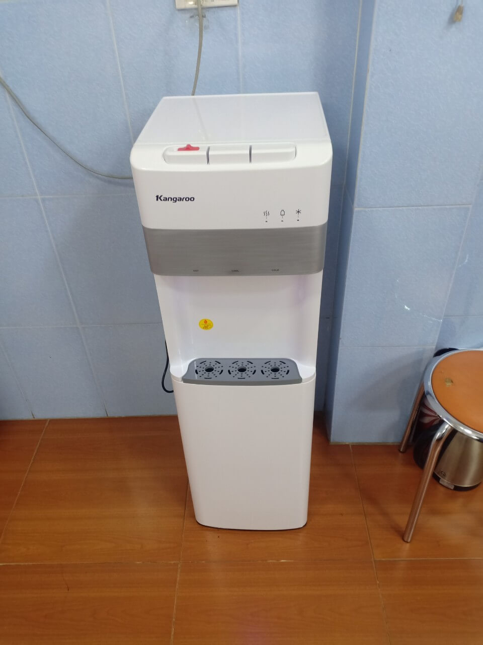 hình ảnh thực tết