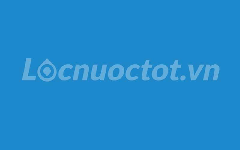 Quy chế hoạt động