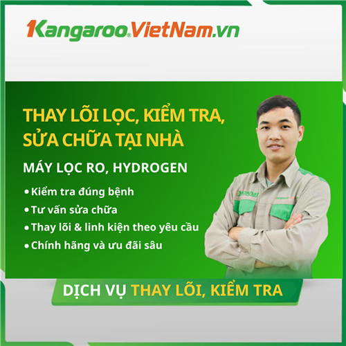 Dịch vụ thay lõi, kiểm tra lỗi, hỏng, bảo dưỡng vệ sinh máy lọc nước tại nhà